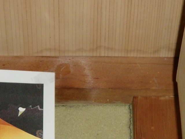 泉佐野市葵町の和室の天井に雨漏りの跡