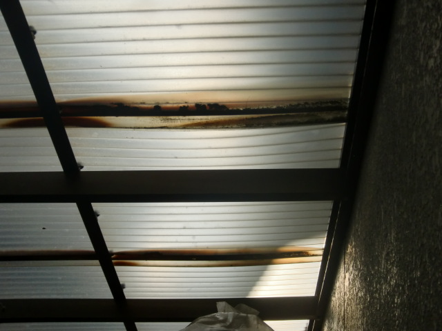 和歌山市善明寺の変色した波板