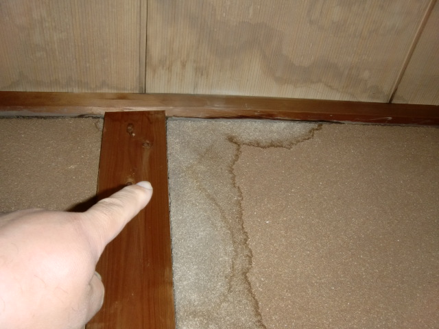 岸和田市作才町の雨漏り現調