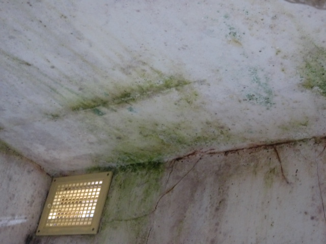 岸和田市のお風呂場の天井の雨漏りの可能性