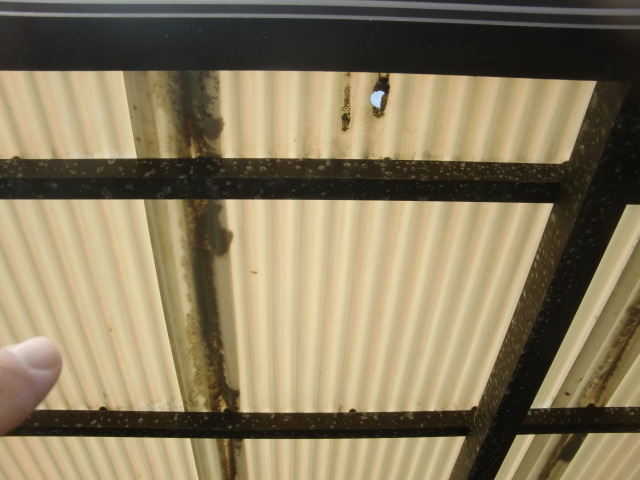 泉北郡忠岡町のサイクルポートの波板の穴開き