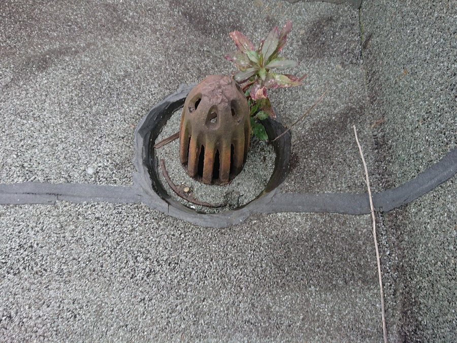 泉佐野市の陸屋根のドレン