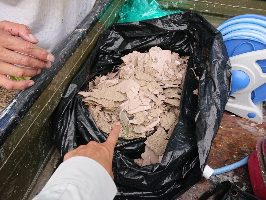 泉大津市の剥がれた外壁の塗膜