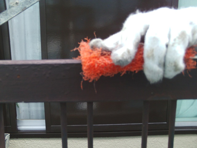 岸和田市吉井町のベランダ手すりケレン