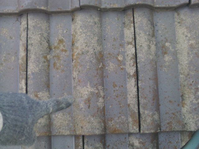 泉南郡岬町のセメント瓦現況