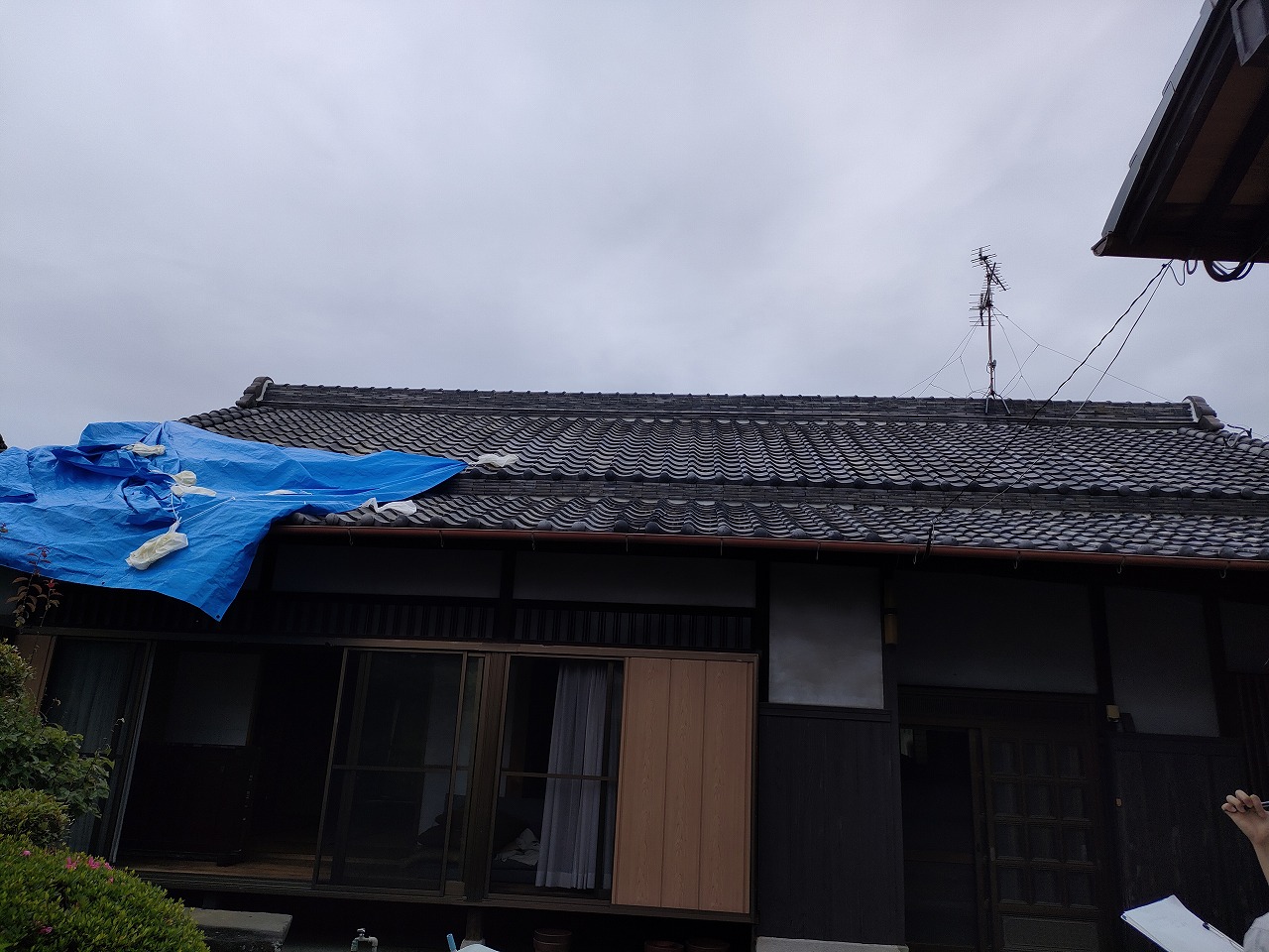 泉大津市の雨漏り修理