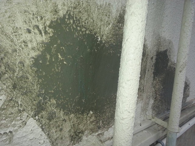 岸和田市天神山町の剥離した塗膜の補修