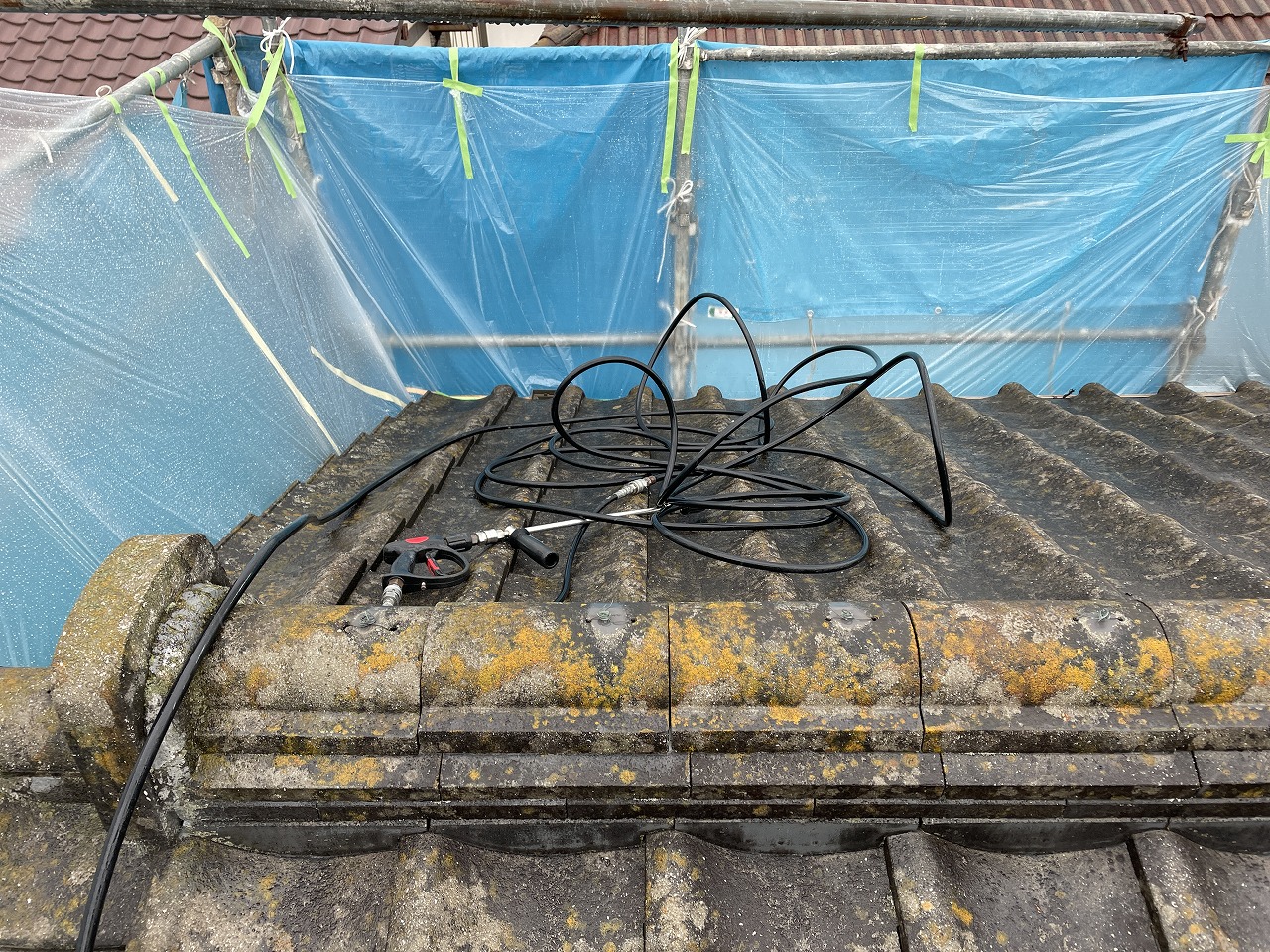 岸和田市のセメント瓦に苔が