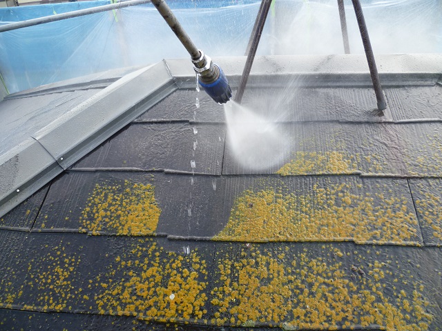 和泉市の苔も除去する高圧洗浄