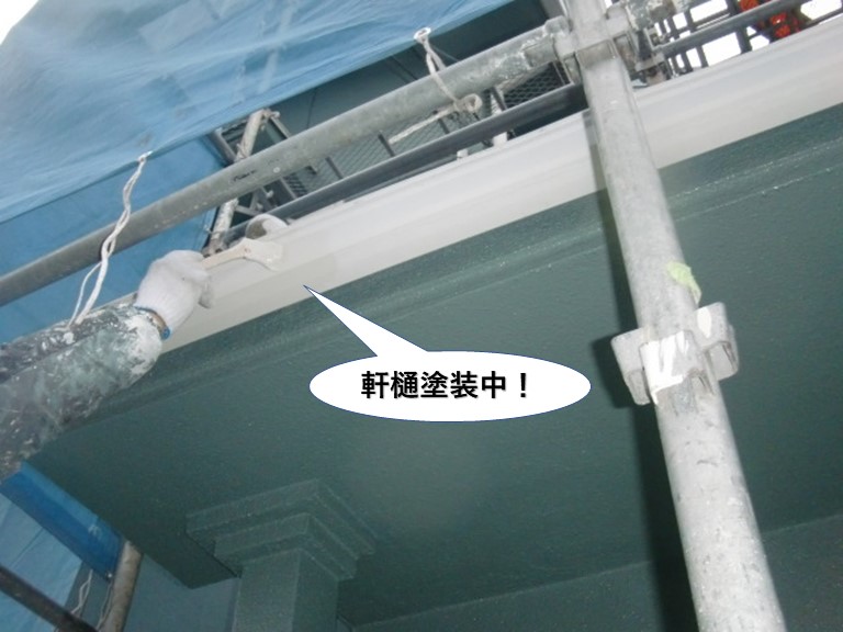 泉南市の軒樋塗装中