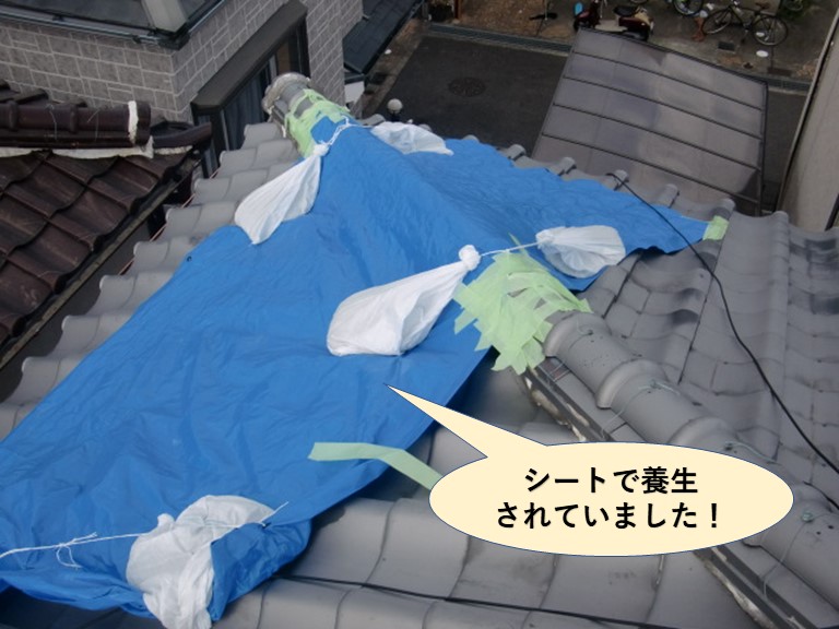 泉南市の屋根をシートで養生していました！