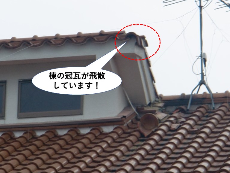 和泉市棟の冠瓦が飛散