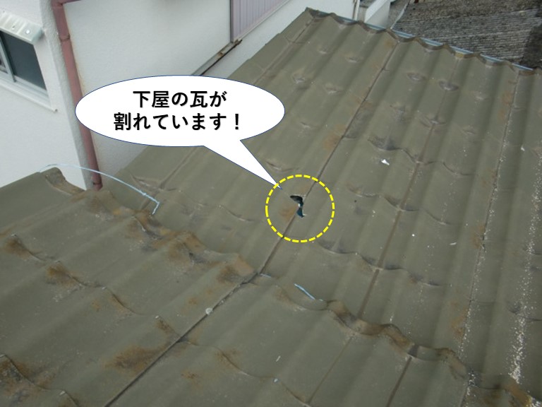 泉佐野市の下屋の瓦が割れています