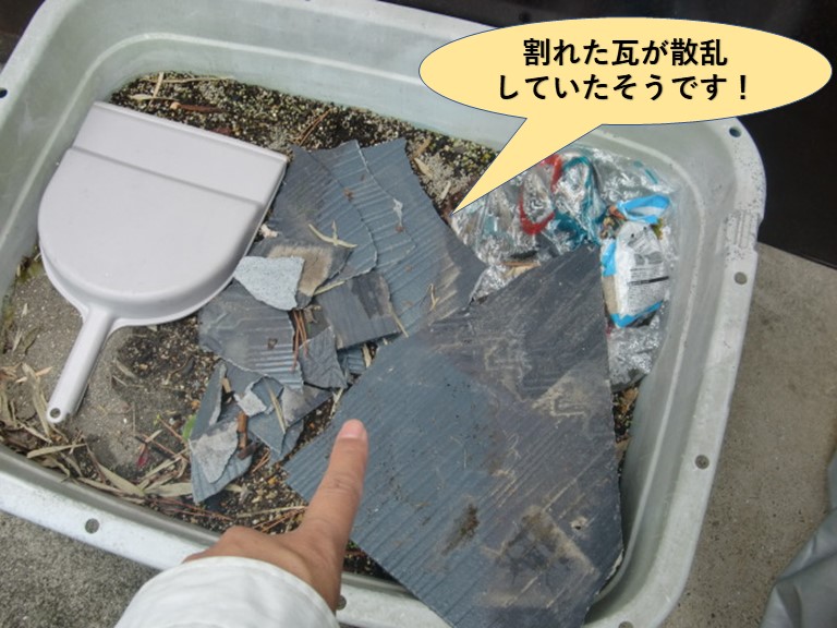 岸和田市の屋根の割れた瓦が散乱していたそうです