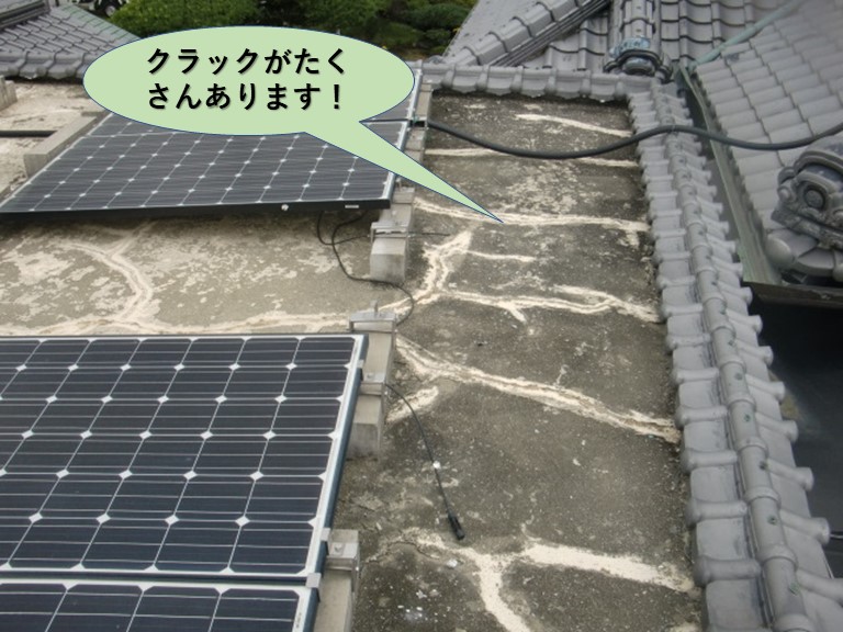 泉大津市の陸屋根にクラックがたくさんあります