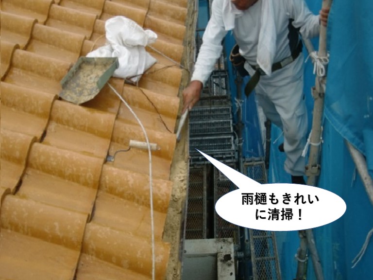 和泉市の雨樋もきれいに清掃