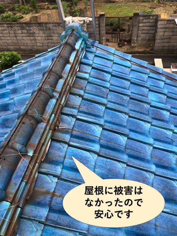 泉北郡忠岡町の屋根の被害はなかったので安心です