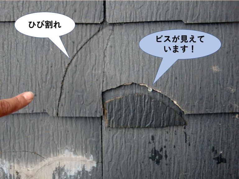 熊取町のスレートを留めている釘が見えています