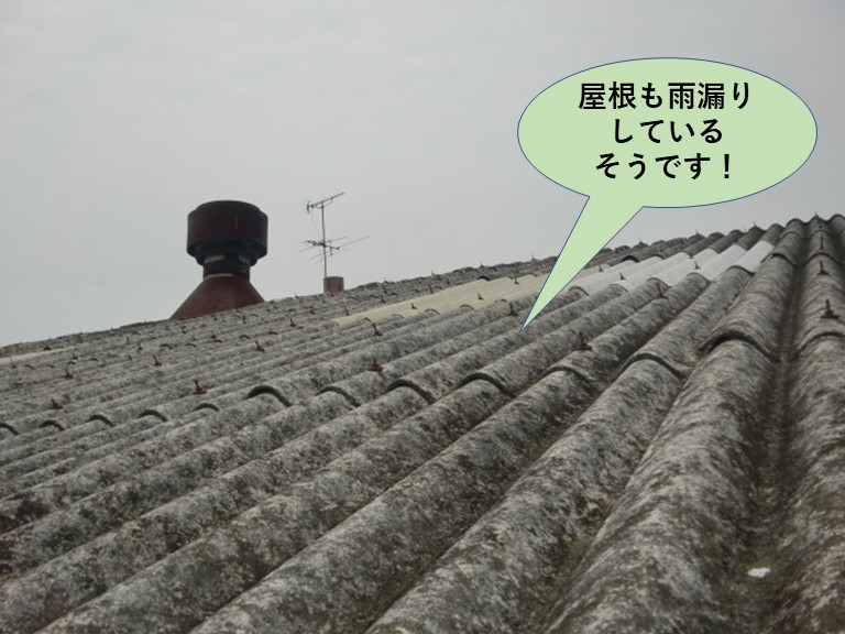 和泉市の工場で屋根も雨漏りしているそうです