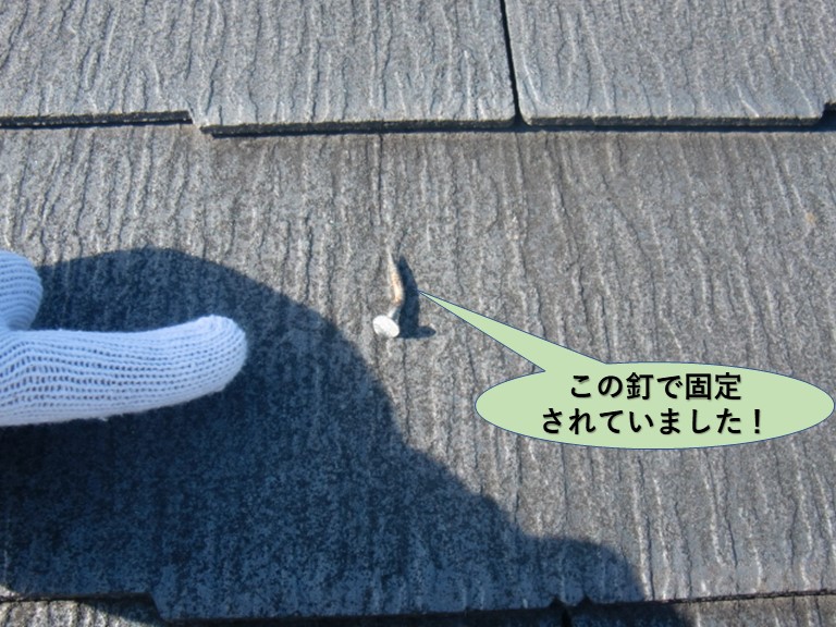 阪南市の屋根の瓦を留めている釘