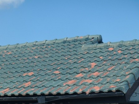 岸和田市天神山町の和瓦の葺き替えで古い瓦撤去2日目