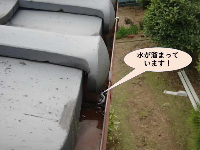 泉北郡忠岡町の雨樋に水が溜まっています