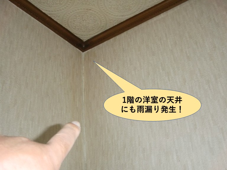 塚市の1階の洋室の天井にも雨漏り発生