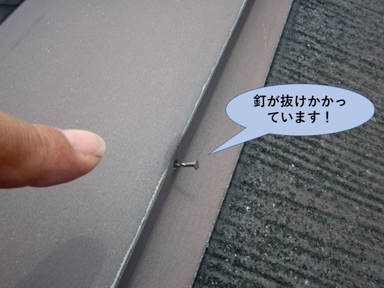泉南市の抜けそうな板金の釘