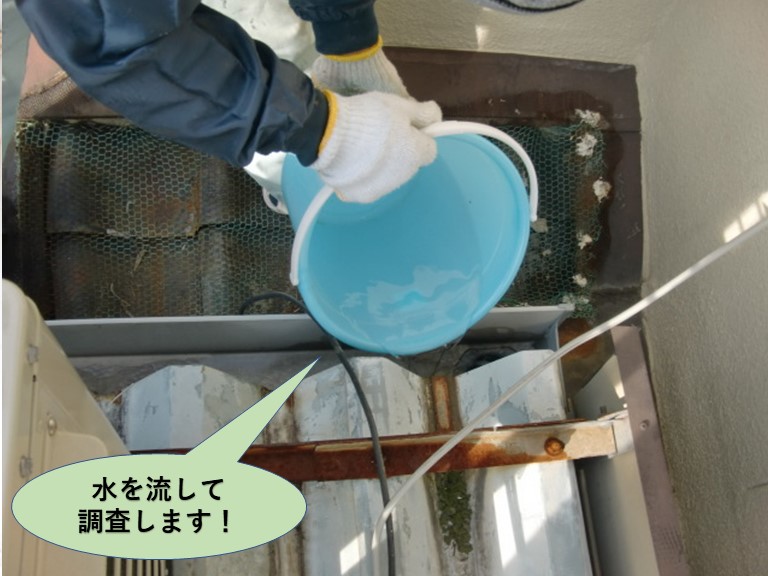 岸和田市の雨樋に水を流して調査します