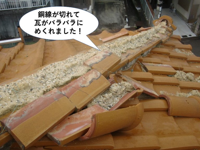 泉南市の悪露棟の同線が切れて瓦がバラバラにめくれました