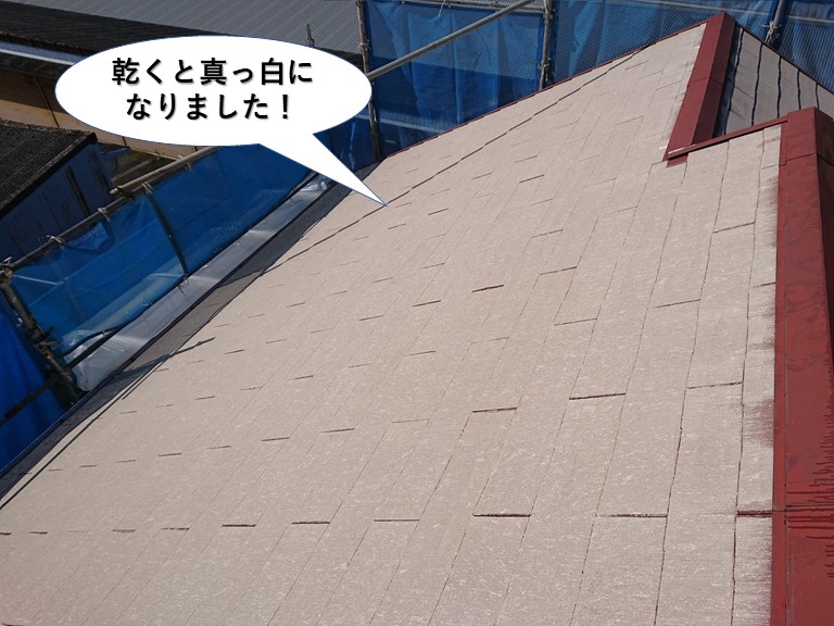 阪南市の屋根洗浄後乾くと真っ白になりました！