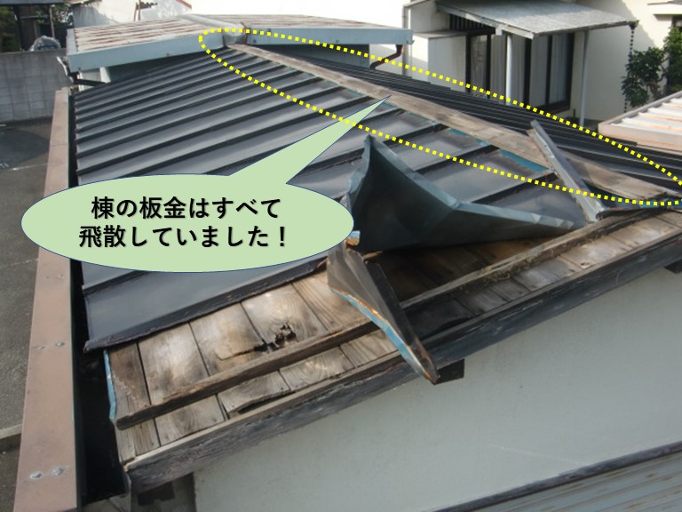 泉北郡忠岡町の棟の板金はすべて飛散していました