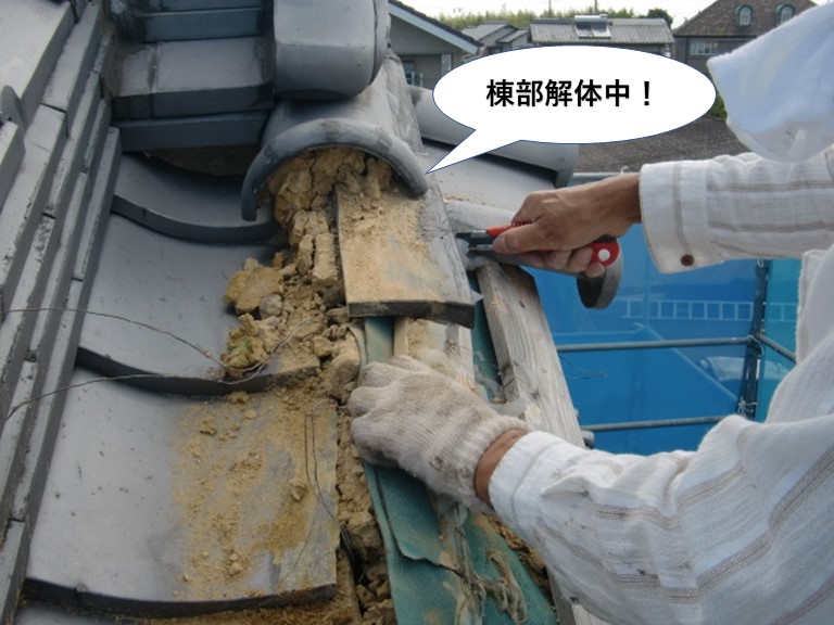 岸和田市の棟部解体中