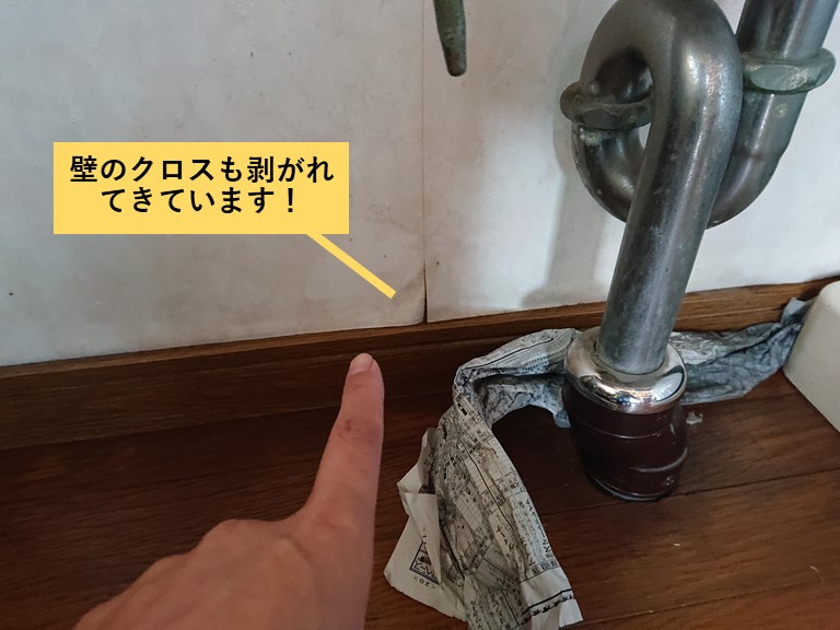 貝塚市の壁のクロスも剥がれてきています