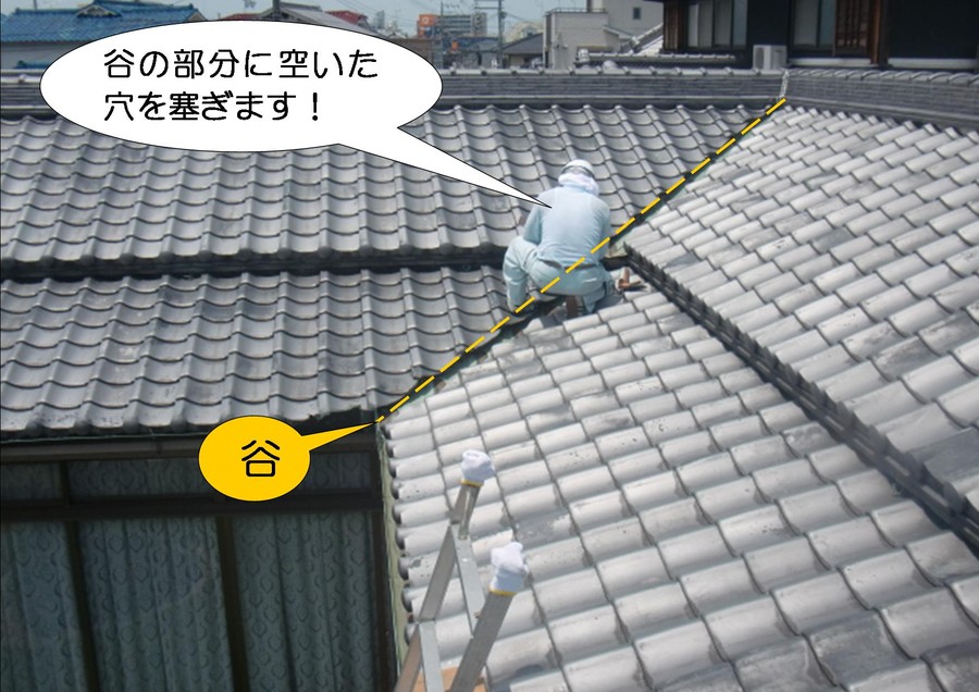 雨漏りの岸和田市の屋根簡易修理