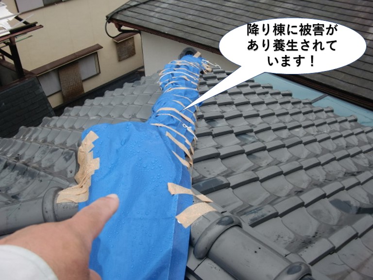 泉大津市の屋根に降り棟に被害があり養生されています