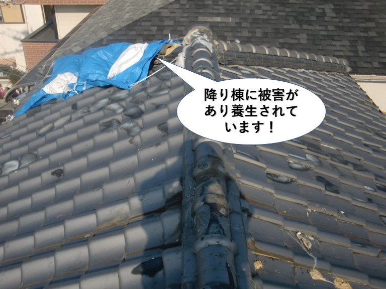 忠岡町の降り棟に被害があり養生されています