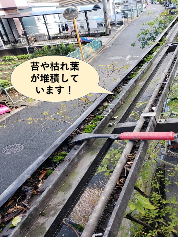 貝塚市のテラスの樋に苔や枯れ葉が堆積