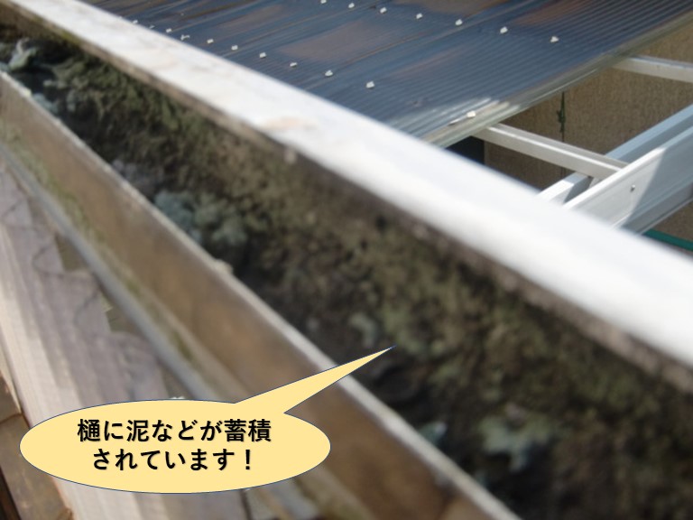 泉南市のカーポートの樋に泥などが蓄積