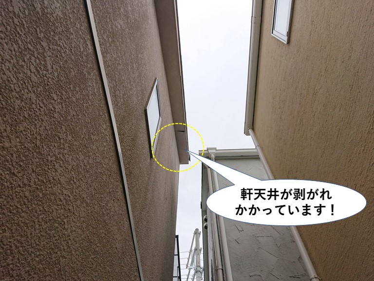 泉大津市の軒天井が剥がれかかっています