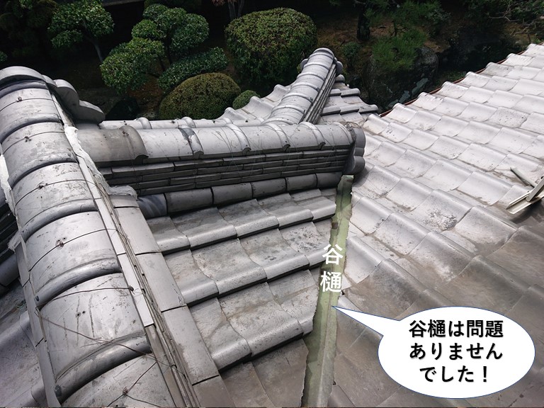 阪南市の谷樋は問題ありませんでした