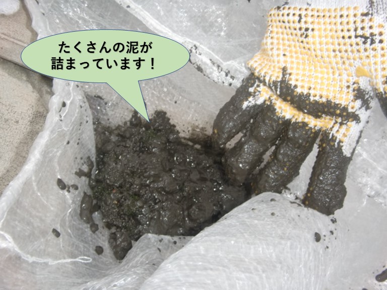 泉大津市の雨樋の中にたくさんの泥が詰まっています