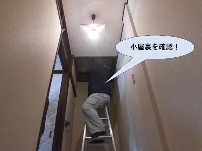 泉佐野市の小屋裏を確認