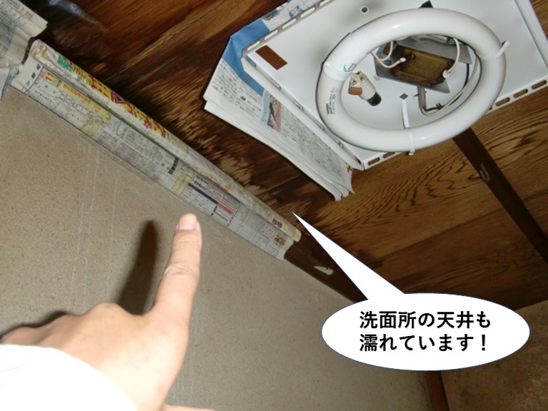 貝塚市の洗面所の天井も濡れています