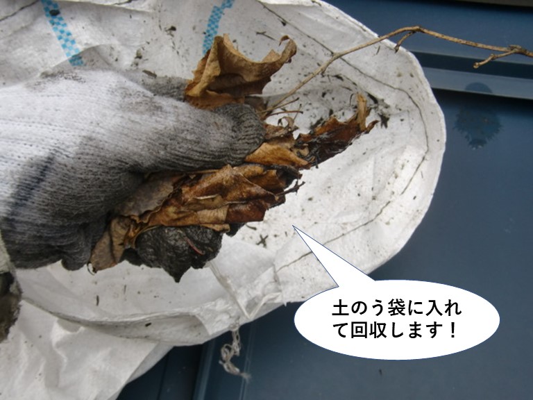 高石市の雨樋に詰まった土のう袋に入れて回収します