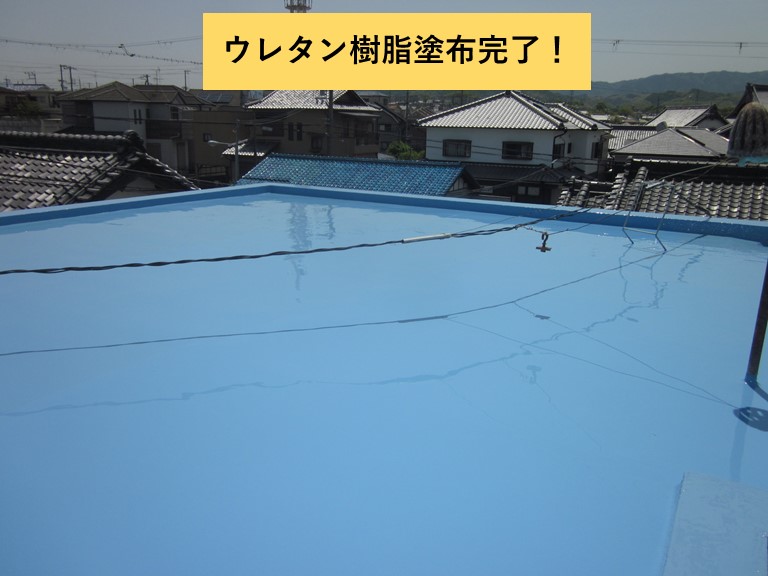 和泉市の陸屋根にウレタン樹脂塗布完了