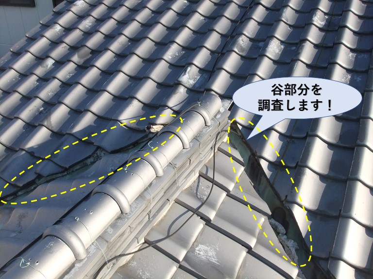 泉大津市の谷樋を調査します！