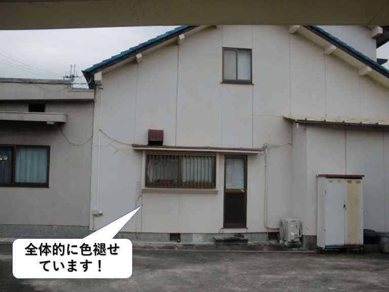 和泉市の外壁が全体的に色褪せています