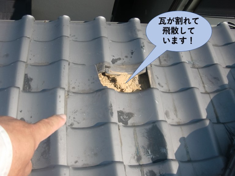 泉大津市の下屋の瓦が割れて飛散しています！