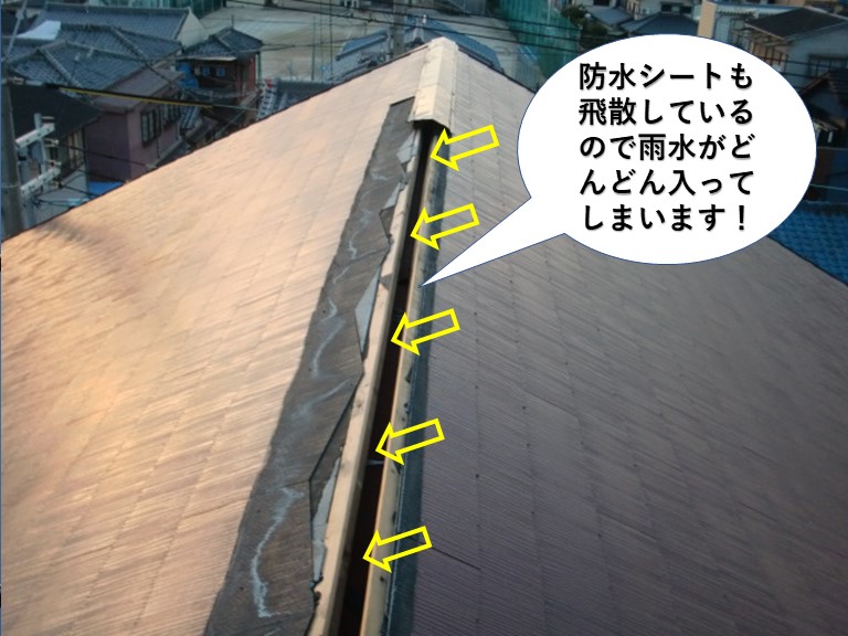 岸和田市の防水シートが飛散